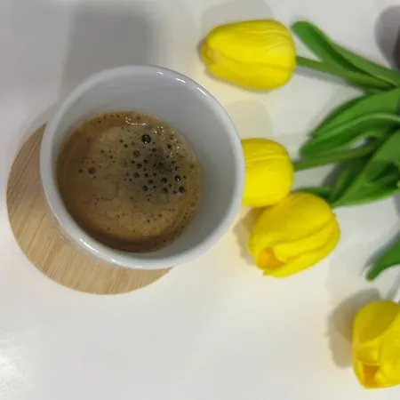 Rizz 2 Apartamento Tirana